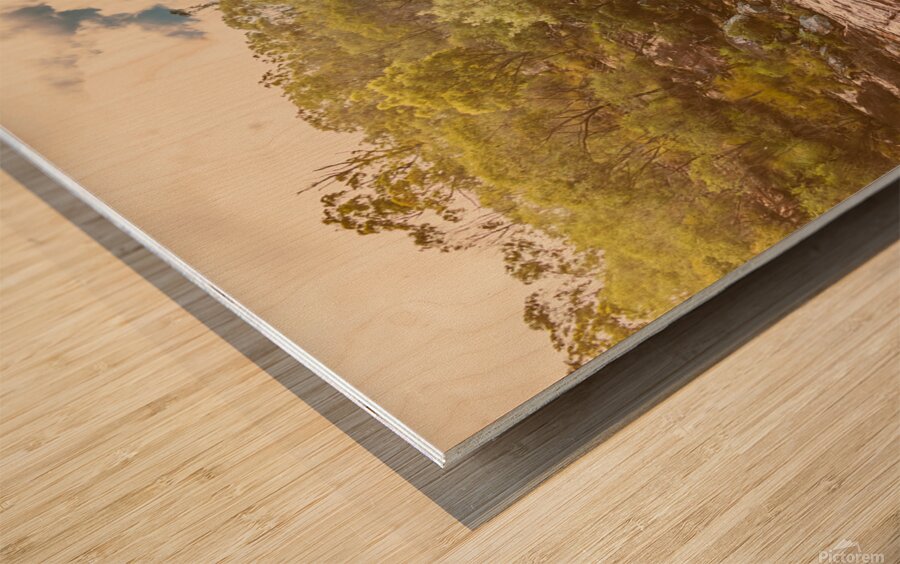 Bushland oasis Wood print