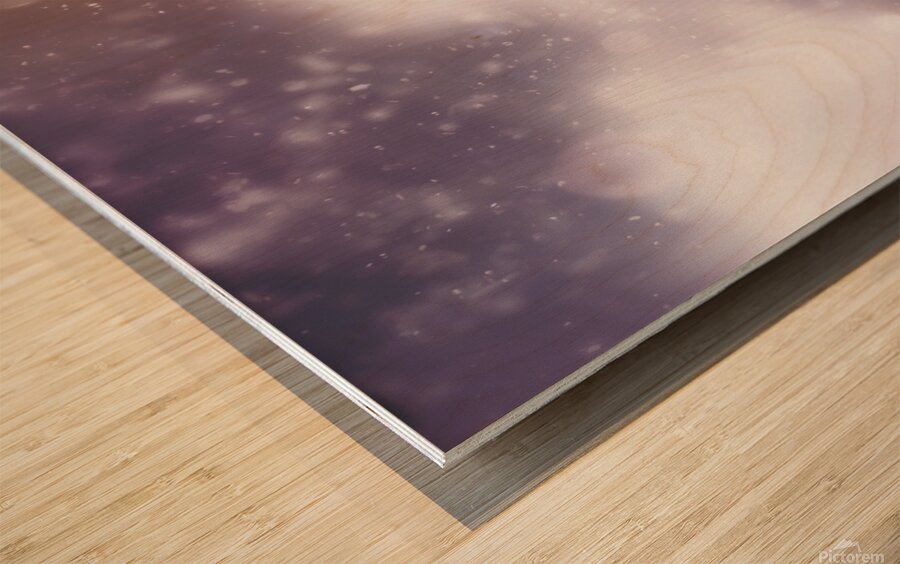 Vintage flower in the summer rain Wood print