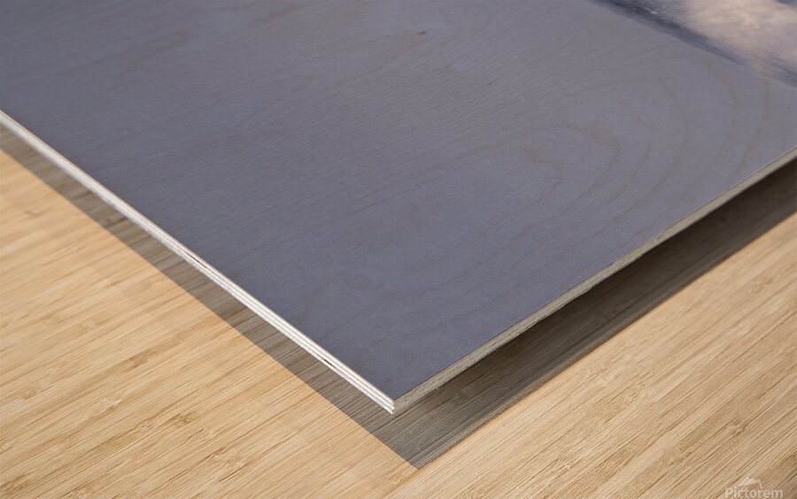 Tides of turbulence Wood print