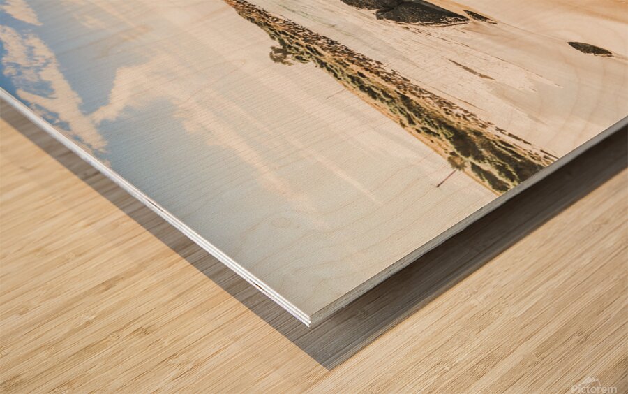 East Coast of Tasmania seascape Wood print