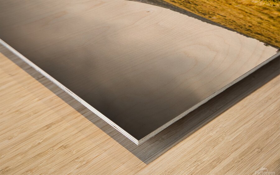 Tasmania mountains of the East-West Great Divide  Wood print