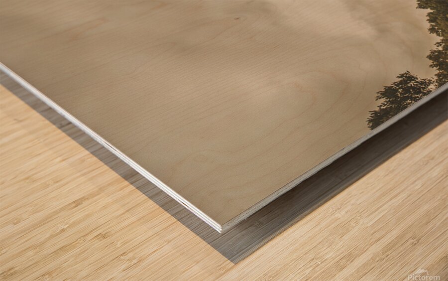 Vintage Australian landscape. Rosebery Tasmania Wood print