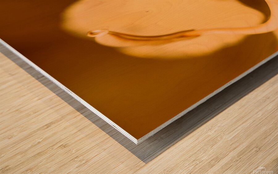 Wild orange Wood print