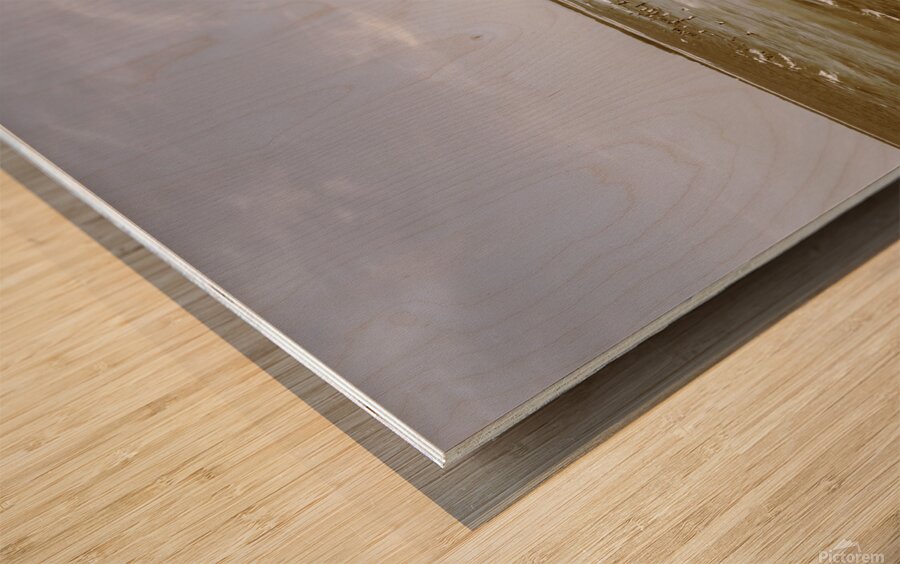 Old Sunshine Coast bathers Wood print