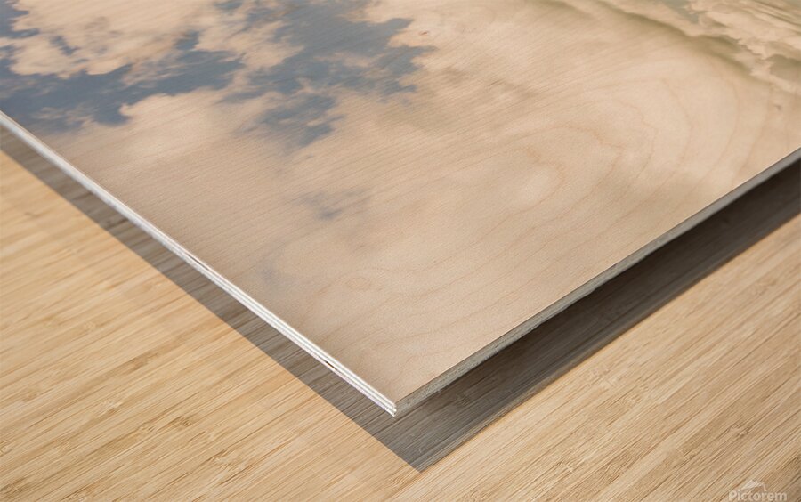 Sunshine Coast Hinterland Panoramic  Wood print