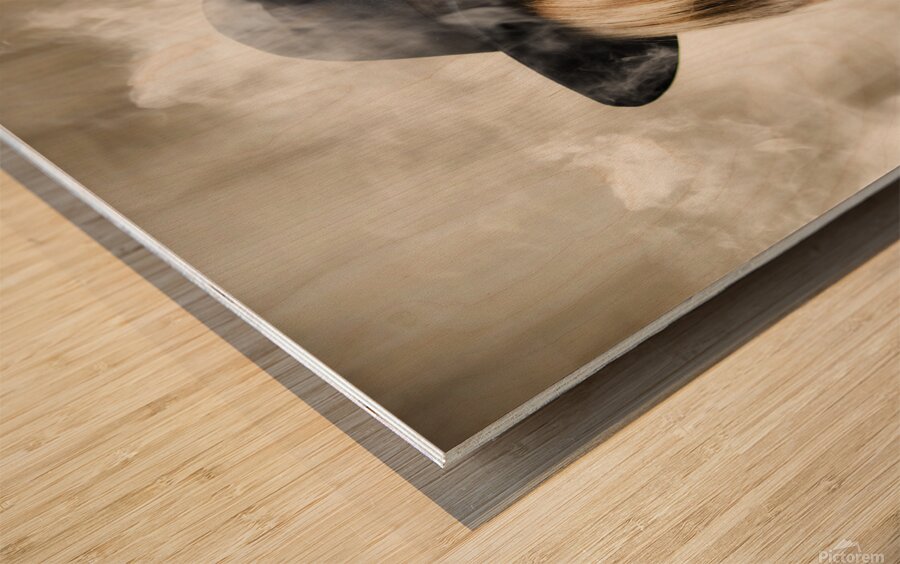 Fifties portrait of smoking hot beautiful woman Wood print