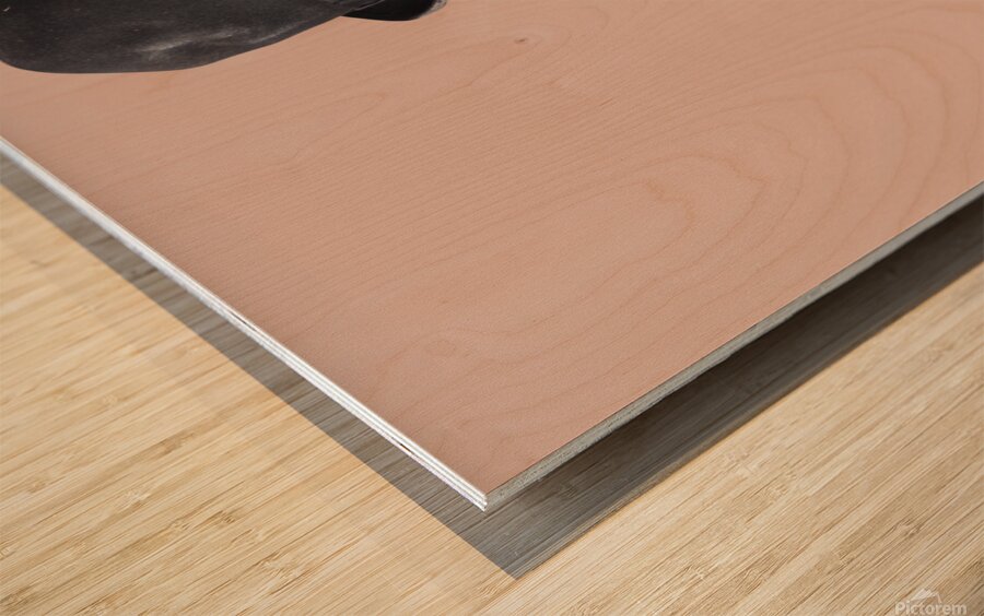 Zombie gardener with shears Wood print