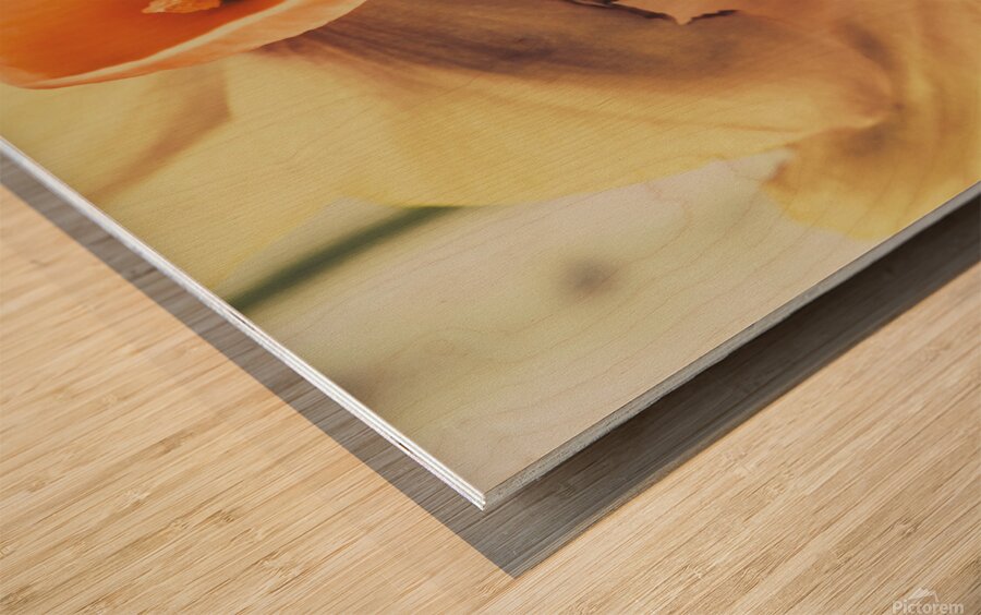 Toned vintage spring daffodils Wood print