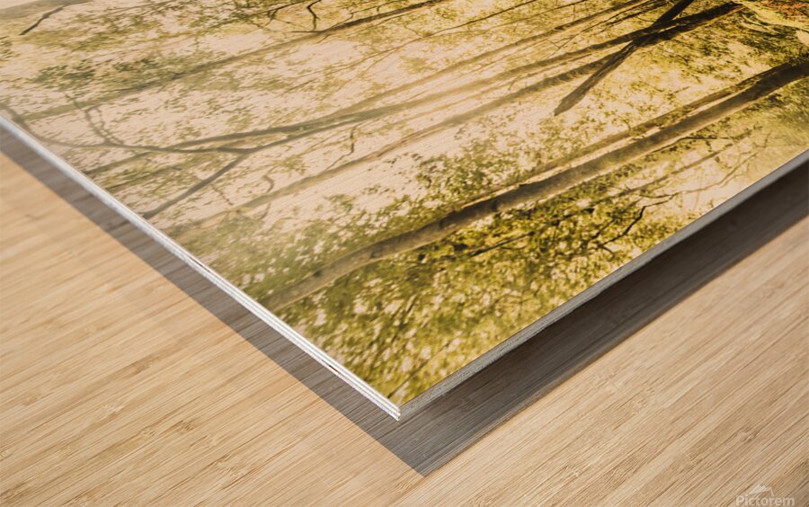 Tourist Hiking Mount Field Tasmania  Wood print