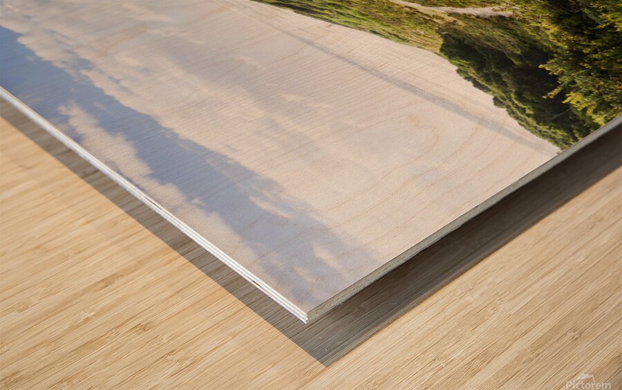Sand dune path leading to Tasmania beach landscape Wood print
