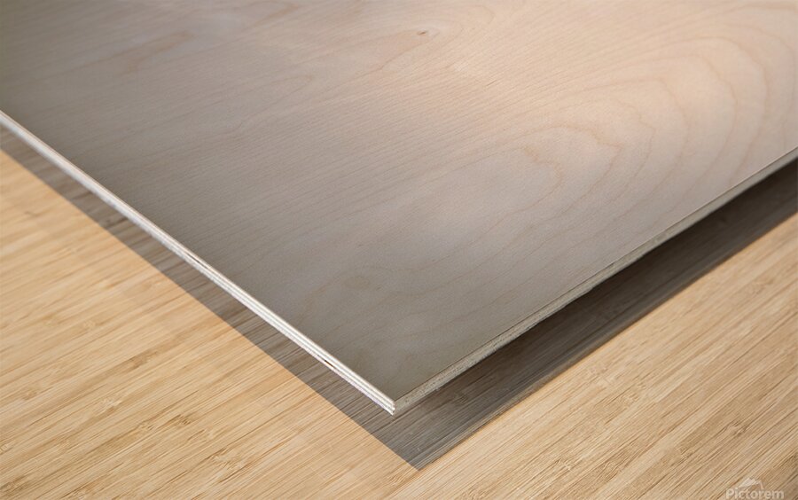 Dirt roads of outback Tasmania Wood print