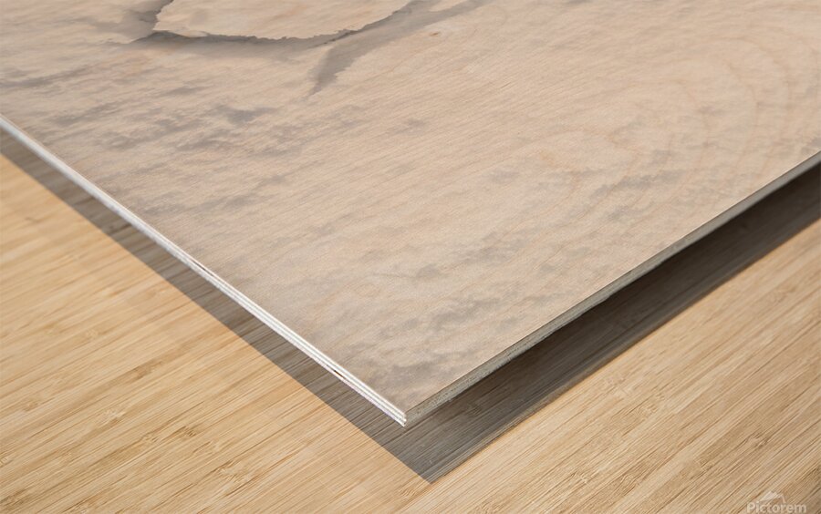 Romantic snow vacation Wood print