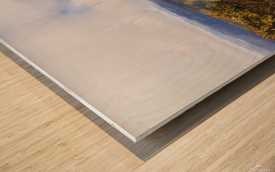 I can climb mountains Wood print