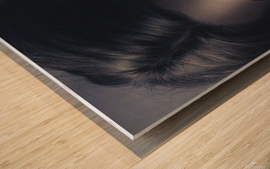 Dark fashion portrait. Female model in sunglasses Wood print