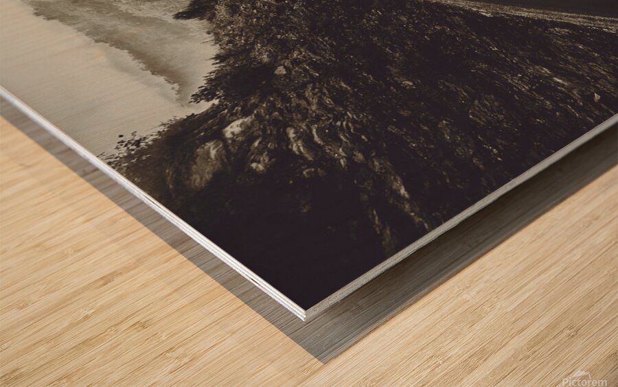 Tasmania wilderness way Wood print