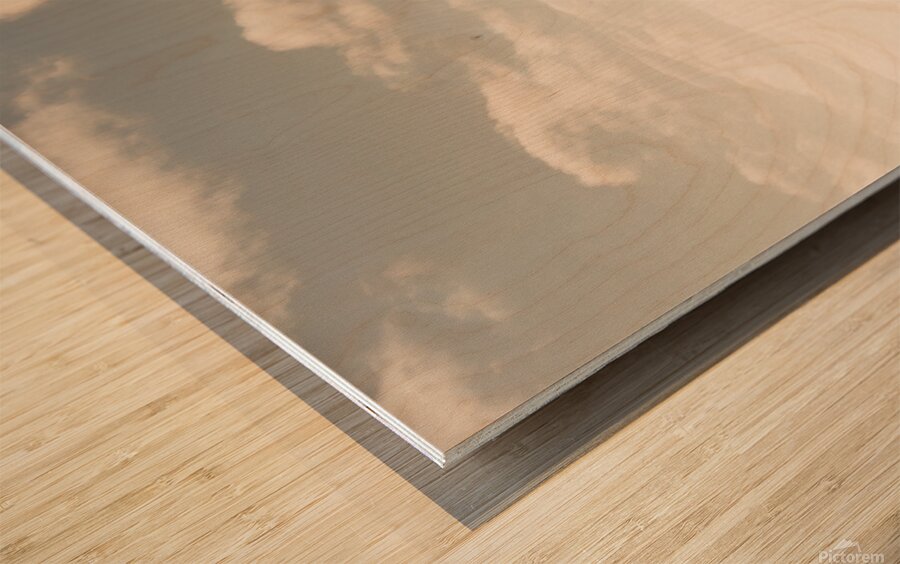 Farm fields to seaside shores Wood print