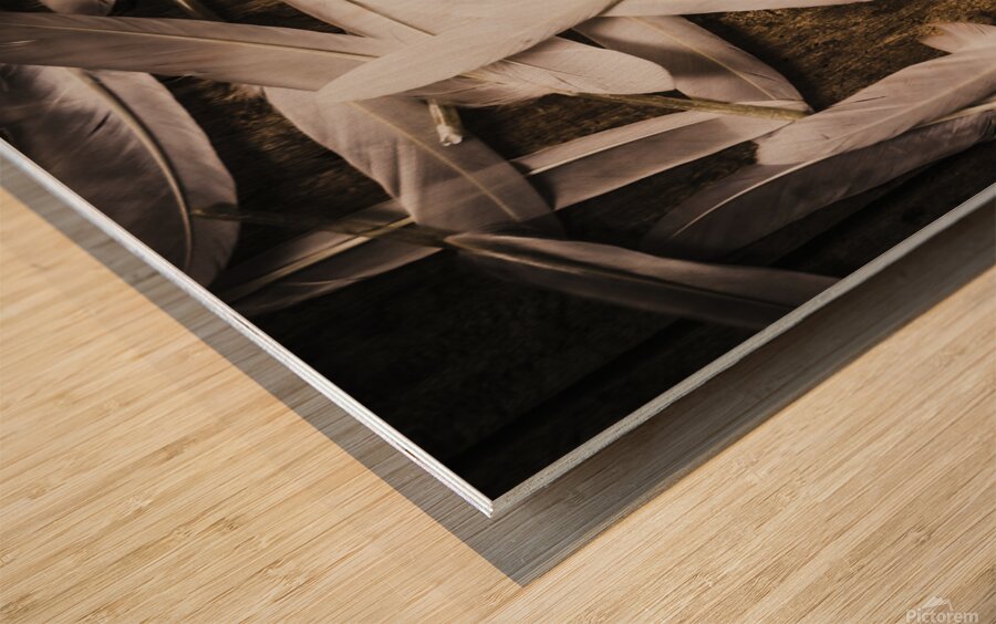 Soft symbol of peace and hope Wood print