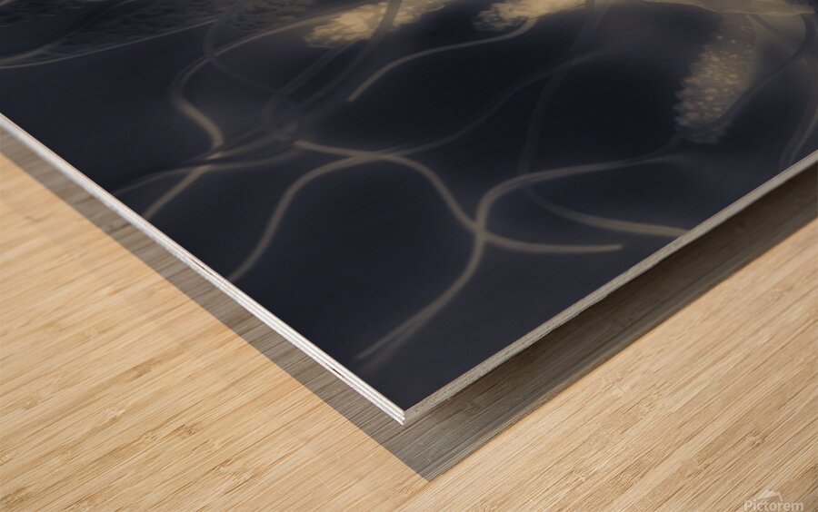 Tonical Entangle Wood print