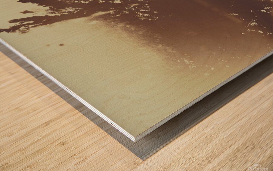 Manifest destiny Wood print