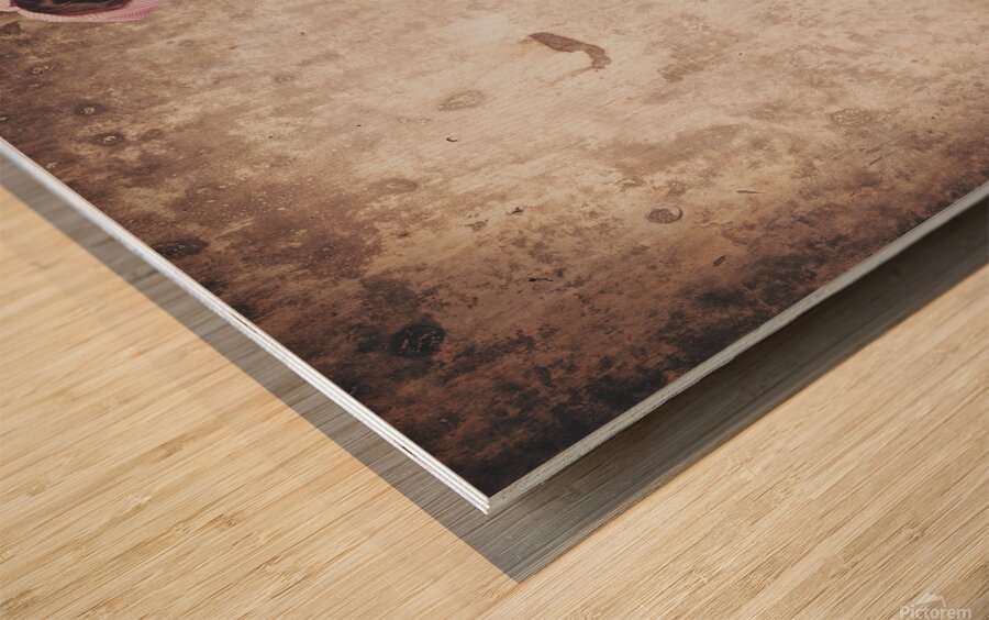 Young hitchhiking pin-up woman on vintage suitcase Wood print