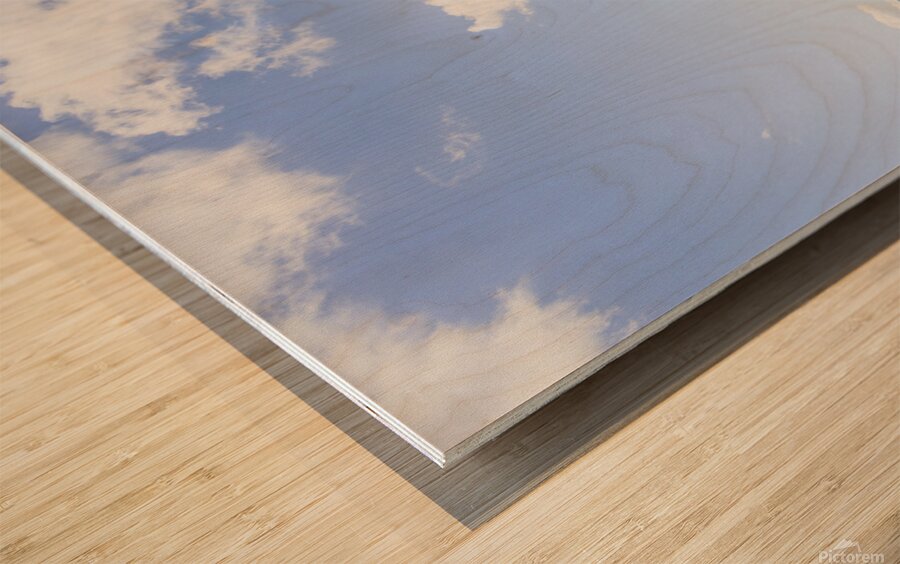 Vibrant valleys Wood print