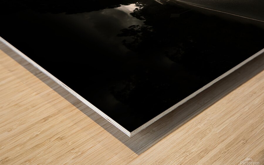 Journey Of Distance Wood print