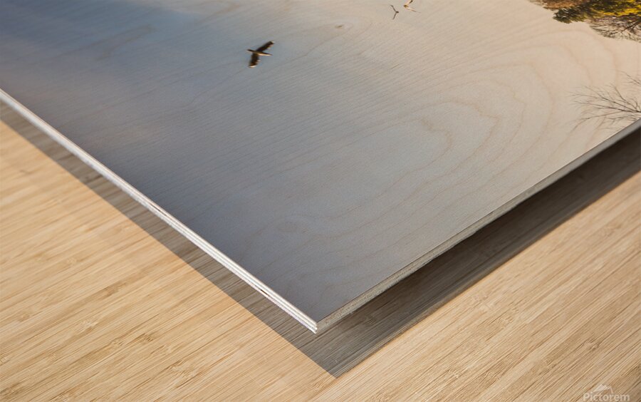 New Norfolk scenes Wood print