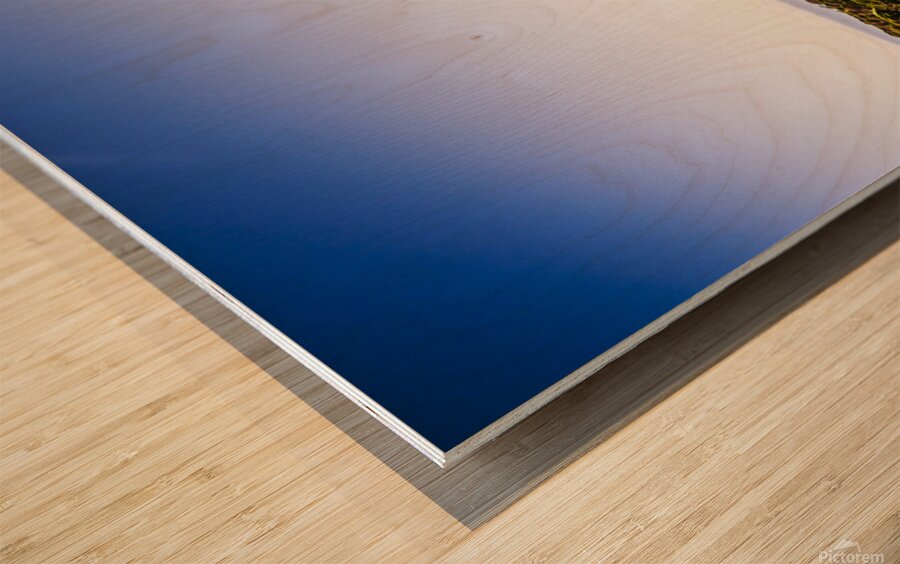 Winds from west Woolnorth Wood print