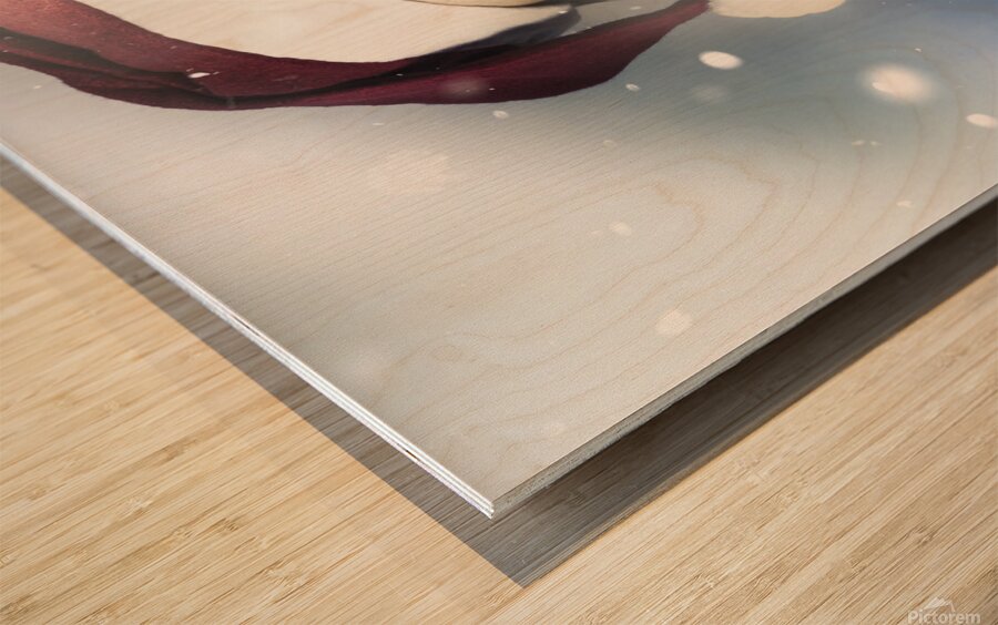 Christmas woman cooking up winter food idea Wood print