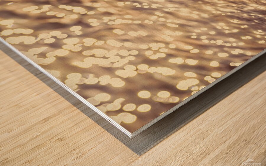 The fall and the light merger Wood print