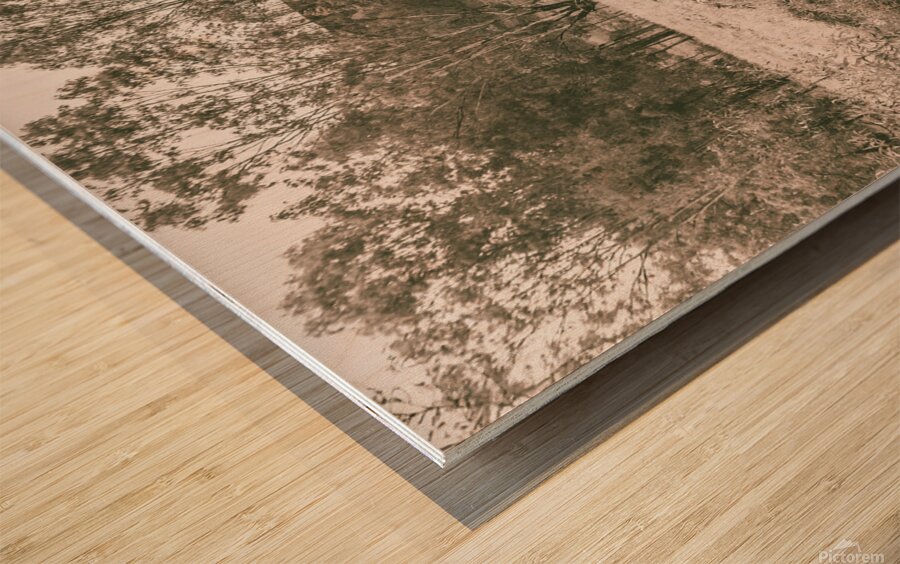 Way beyond outback Wood print