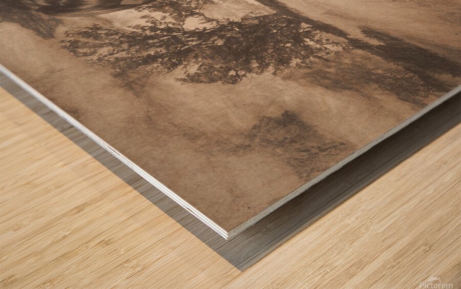 Retro pinup poster girl holding baseball in glove Wood print