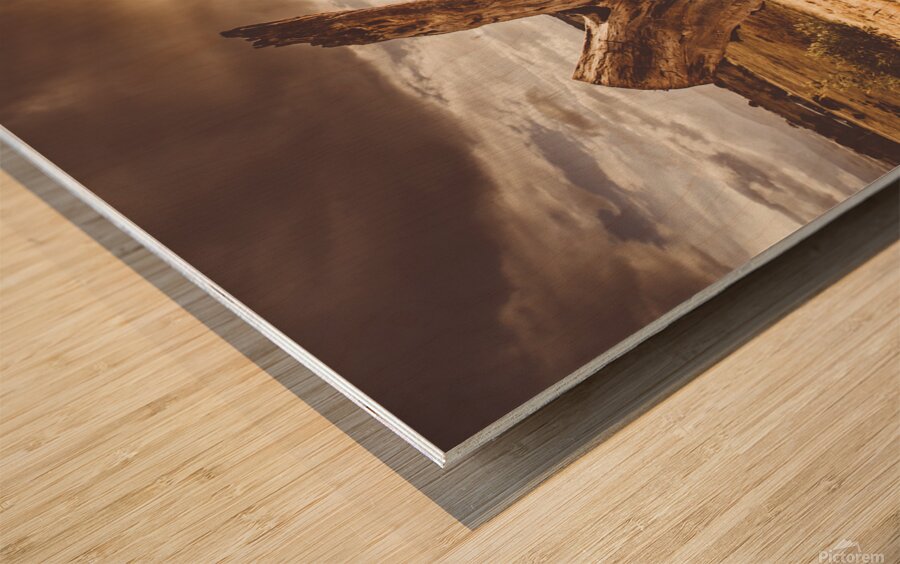 Cranbrook sunset Wood print