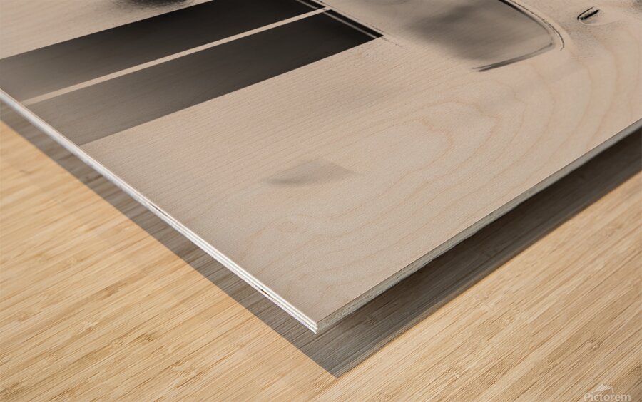 Racing Stripes Wood print