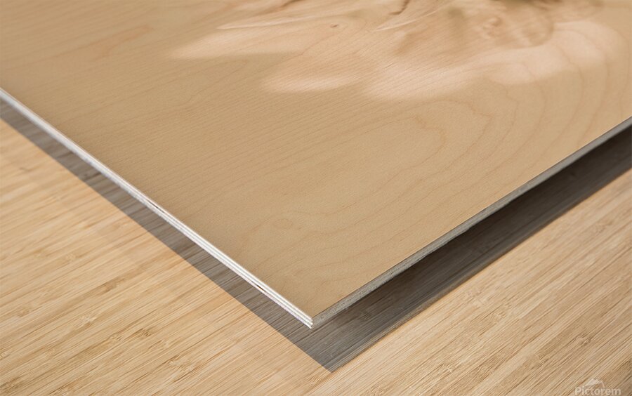 Soft pastel flower Wood print