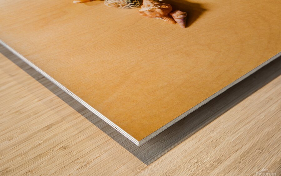 Seahorse art abstract Wood print