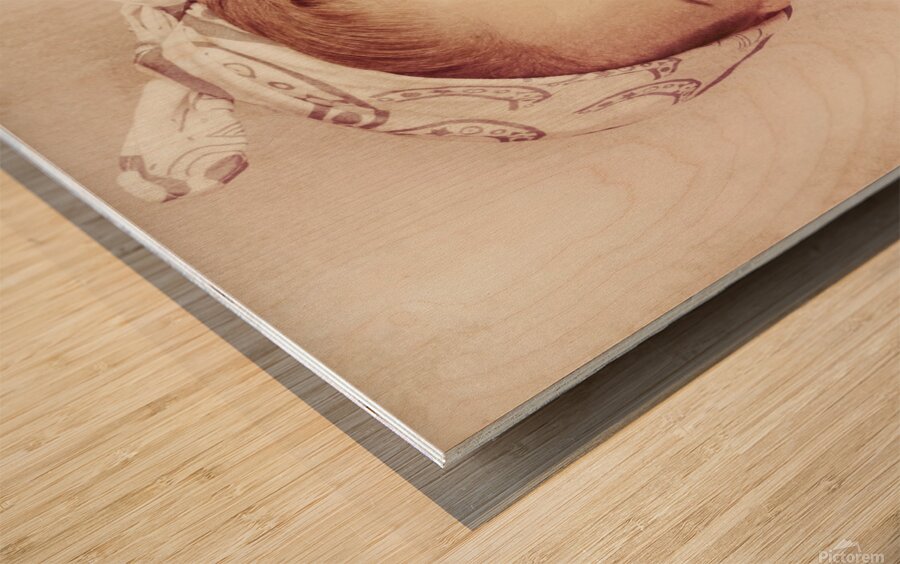 Cute Vogue Pinup Girl Reading Old Fashion Magazine Wood print