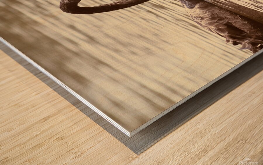 Reflective beauty Wood print