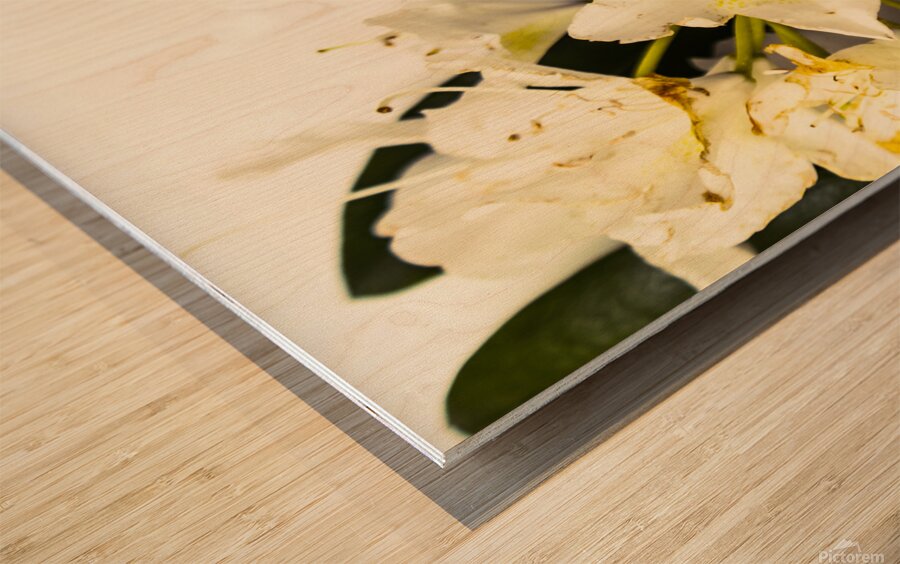 Japanese flower art Wood print