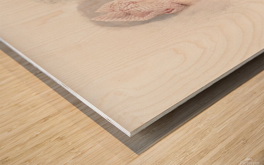 Curious Housewife Cleaning Home Window With Love Wood print