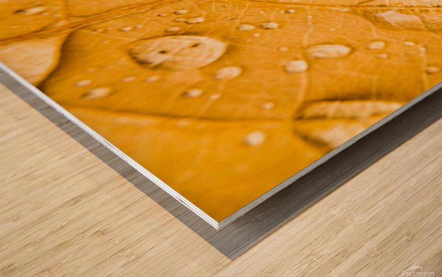 Leafy tropics Wood print