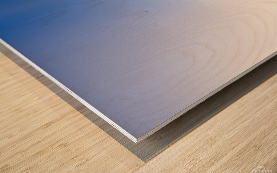 Male tourist enjoying ocean landscape sunset Wood print