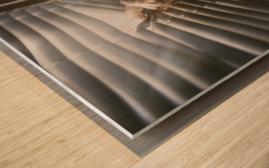 Undercover stakeout  Wood print