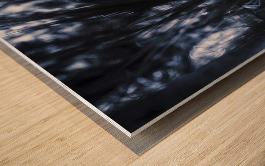 Evil man hiding in silence at dark forest  Wood print