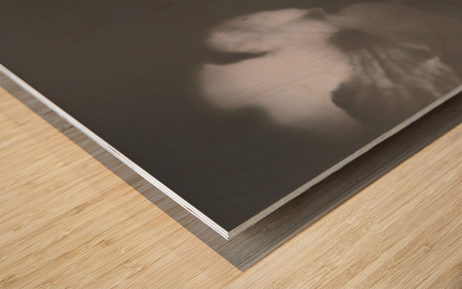 Ornate colourless weathered wild flowers Wood print