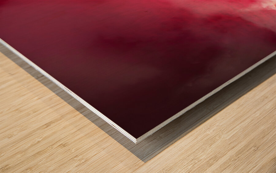 Spicy food art Wood print