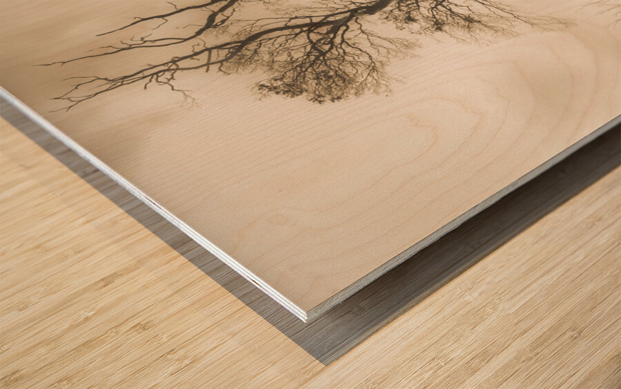 Mystery tree in a dark scary forest Wood print