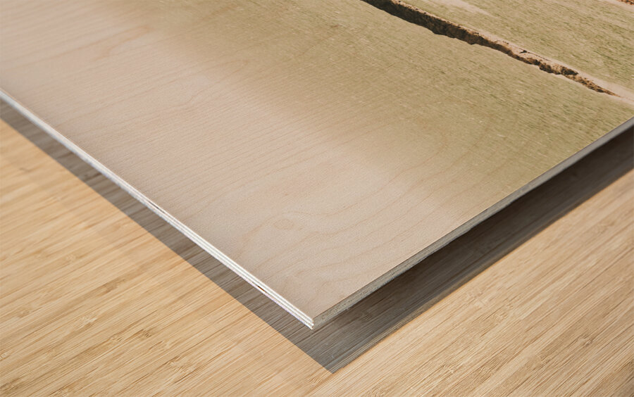 Rugged rocky cape Wood print