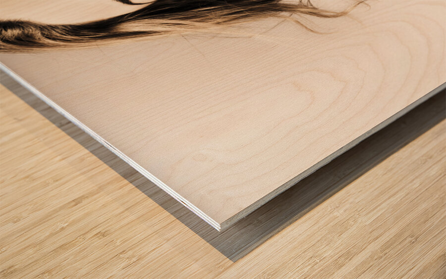 Amazing Brunette Woman. Beautiful Long Wavy Hair Wood print