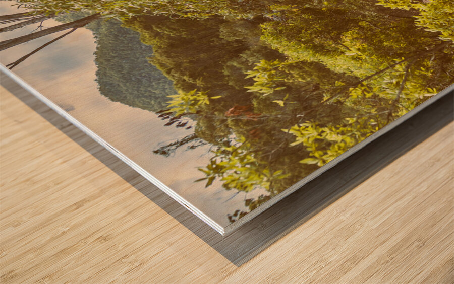 Rocky utopia Wood print